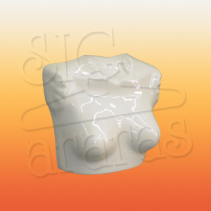 4050 ps busto s7