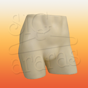 4121 expositor cueca