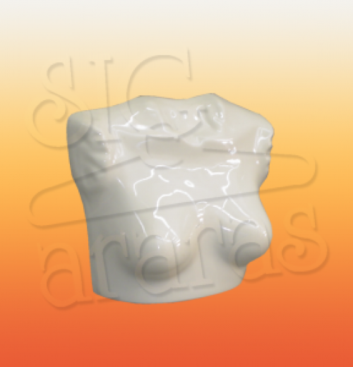 4050 ps busto s7