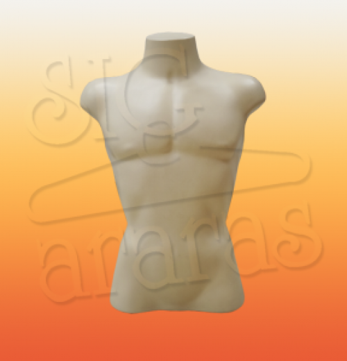 4119 busto masculino r72