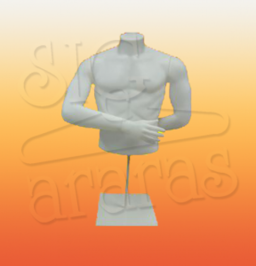 4414 busto masculino com braços branco